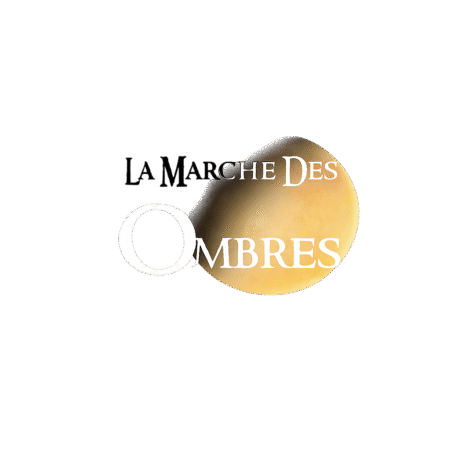 LA MARCHE DES OMBRES Saison 02- L'intégrale (6 épisodes)